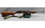Glenfield ~ 75 ~ .22 Long Rifle - 1 of 14