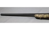 Ruger ~ American ~ .22-250 Remington - 14 of 14
