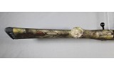 Ruger ~ American ~ .22-250 Remington - 8 of 14