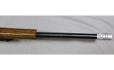 Ruger ~ 10/22 ~ .22 Long Rifle - 10 of 14