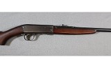 Remington ~ 24 ~ .22 Short - 6 of 14