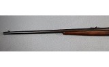 Remington ~ Model Unknown ~ .22 Remington Autoloading - 10 of 10