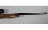 BSA, Imports ~ Model Unknown ~ .243 Winchester - 7 of 14