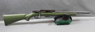 Savage ~ 93R17 ~ .17 HMR
