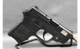 Smith & Wesson ~ Bodyguard 380 ~ .380 Auto - 2 of 5