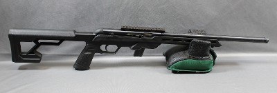 Savage ~ 64 ~ .22 Long Rifle