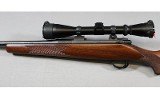 Kimber ~ 84M Classic ~ .308 Winchester - 13 of 14