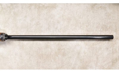 Browning ~ A5 Magnum ~ 12 Gauge - Image 13 of 14