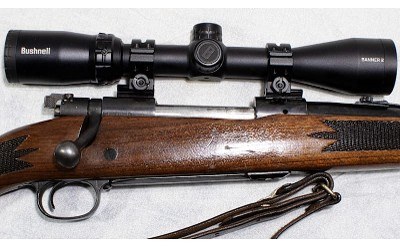 Sears, Roebuck & Co. ~ Model 53 ~ .243 Win - Image 2 of 13