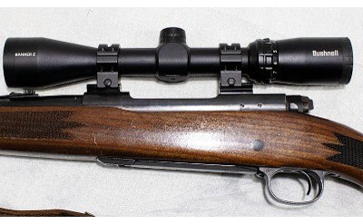 Sears, Roebuck & Co. ~ Model 53 ~ .243 Win - Image 6 of 13