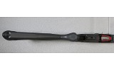 Winchester ~ Wildcat ~ .22 Long Rifle - Image 6 of 10