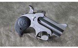 Bond Arms Rowdy
