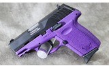 SCCY CPX-2 - 2 of 2