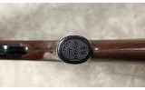 Remington - Nylon 66 - 22LR - 9 of 10