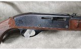 Remington - Nylon 66 - 22LR - 2 of 10