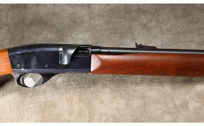Remington - 552 Speedmaster - 22 S, L,LR - Image 3 of 8