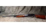 Revelation - Western Auto Supply - R310AB - 12 Gauge - 5 of 8