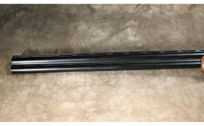 CZ - Teal Target - 20 Gauge - Image 8 of 8