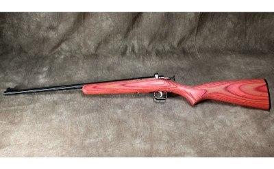 Keystone Sporting Arms - Crickett - 22 Long Rifle - Image 2 of 2