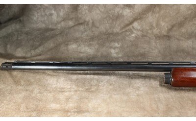 Remington - 1100 - 12 Gauge - Image 8 of 8