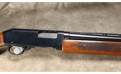 Ted Williams (Sears) - 200 - 12 Gauge - Image 3 of 8