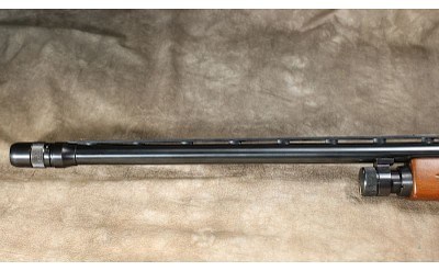 Ted Williams (Sears) - 200 - 12 Gauge - Image 8 of 8