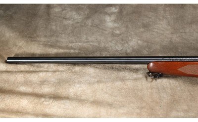 Winchester - 70 SA Lightweight - 223 Remington - Image 8 of 8