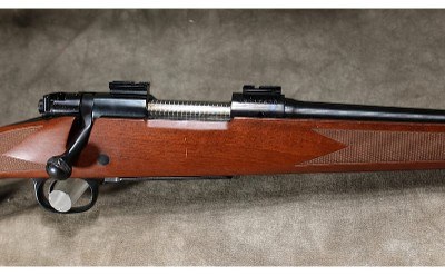 Winchester - 70 SA Lightweight - 223 Remington - Image 3 of 8