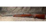 Winchester - 70 SA Lightweight - 223 Remington - Image 5 of 8