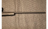 WINCHESTER 70 - 4 of 10