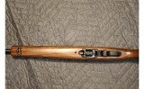 RUGER 10/22 - 9 of 10