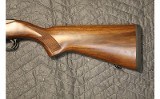 RUGER 10/22 - 6 of 10