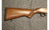 RUGER 10/22 - 2 of 10