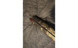 WINCHESTER SX4 - 10 of 10