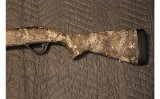 WINCHESTER SX4 - 6 of 10