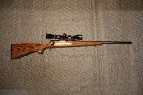 REMINGTON 700 - 1 of 10
