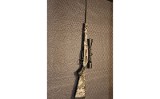TIKKA - 2 of 10