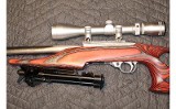 RUGER 10/22 - 3 of 10