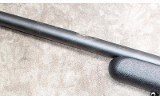 SAVAGE ~ 93 ~ .22 WMR - 9 of 12