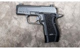 KIMBER ~ KDS9C ~ 9MM - 2 of 3