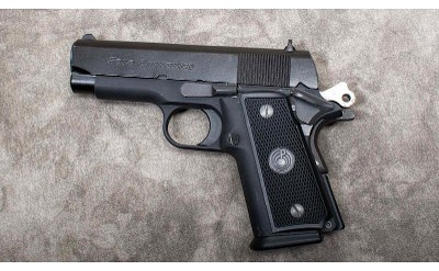 PARA ORDNANCE ~ P12-45 ~ .45 ACP - Image 2 of 4