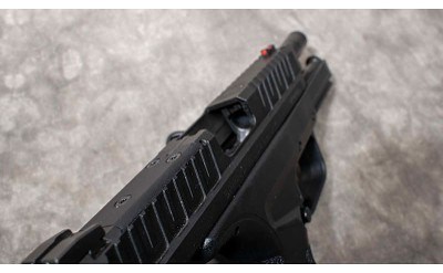 SPRINGFIELD ARMORY ~ XD ~ 9MM LUGER - Image 3 of 5