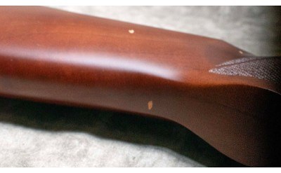 CZ ~ G3 ~ 12 GAUGE - Image 4 of 4