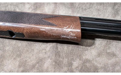 TRISTAR ~ SETTER ~ .410 GAUGE - Image 4 of 5