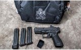SPRINGFIELD ~ ECHELON ~ 9MM LUGER - Image 3 of 3