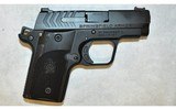Springfield Armory ~ 911 ~ .380 ACP - 1 of 2