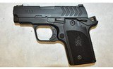 Springfield Armory ~ 911 ~ .380 ACP - 2 of 2