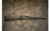 Ruger~American~.308 Win