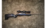Ruger~10/22~.22 LR