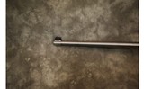 Ruger~10/22~.22 LR - 10 of 12